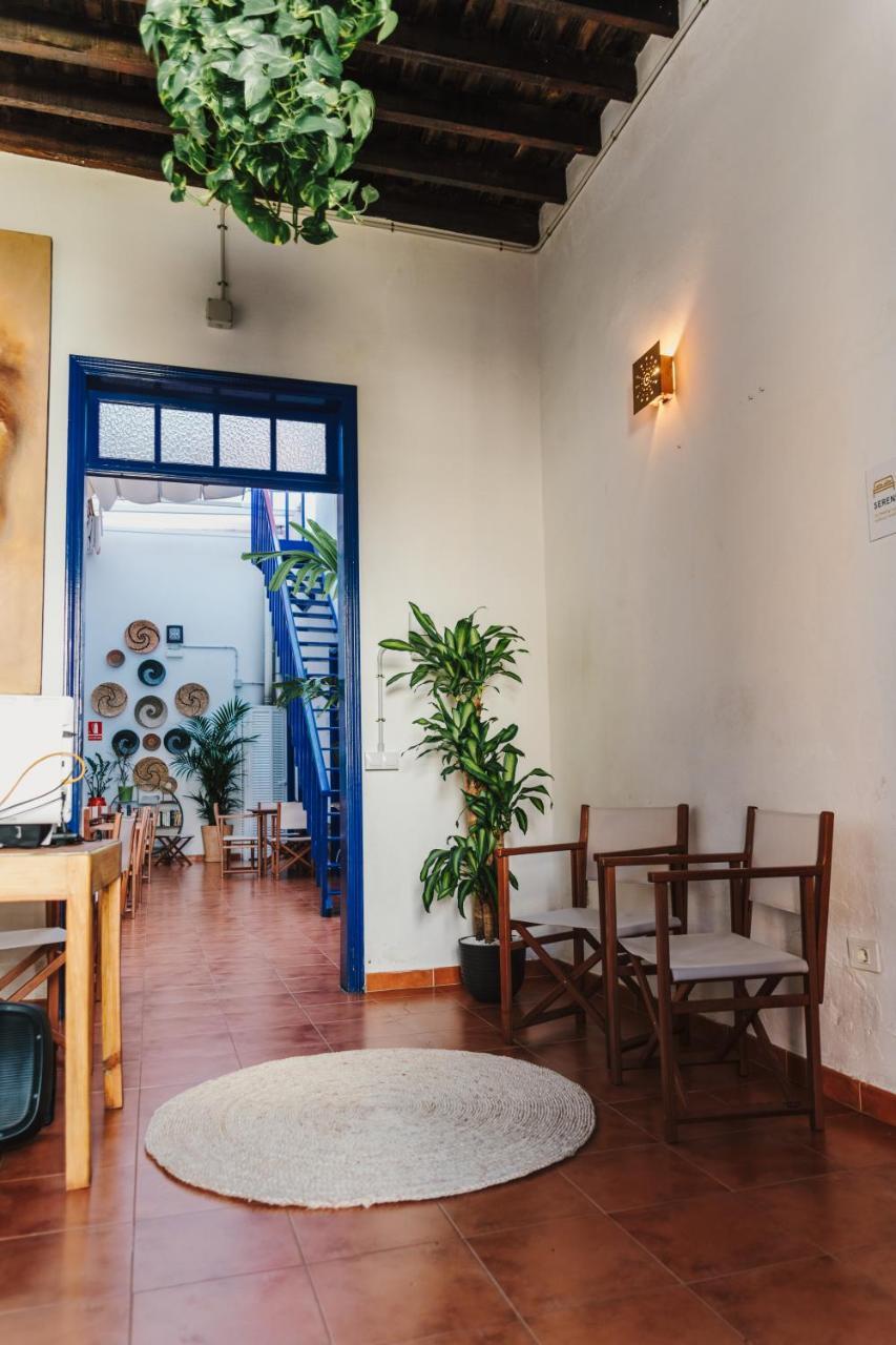 Ashavana Nest Hostel El Médano Exteriér fotografie